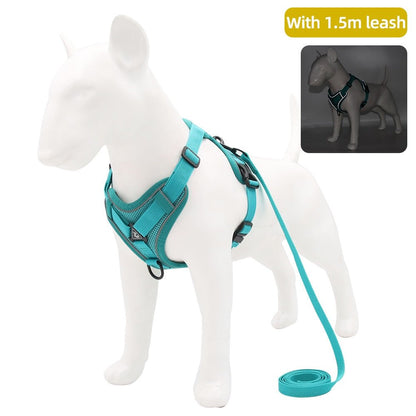 Traction Reflective Bitz Adjustable Leash - BITZ