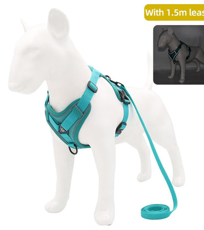 Traction Reflective Bitz Adjustable Leash - BITZ