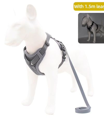 Traction Reflective Bitz Adjustable Leash - BITZ