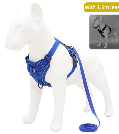 Traction Reflective Bitz Adjustable Leash - BITZ