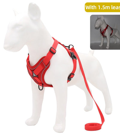 Traction Reflective Bitz Adjustable Leash - BITZ