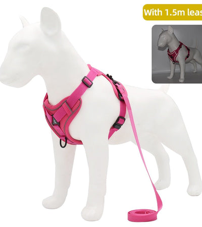 Traction Reflective Bitz Adjustable Leash - BITZ